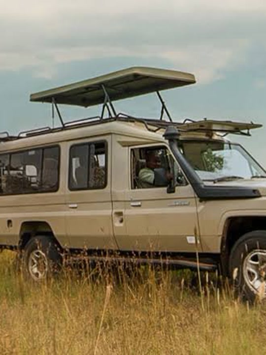 Tanzania - Serengeti & Zanzibar